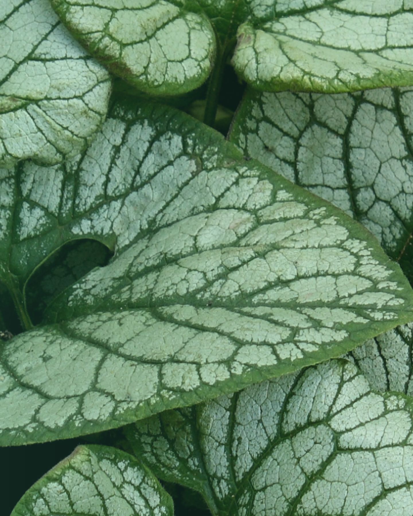 Il nostro impegno per la sostenibilità